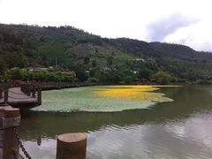 -月亮湾景区