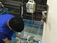 -芭比堂动物医院·24小时·眼科中心(深圳中心)