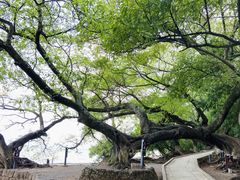 -抚仙湖禄充风景区