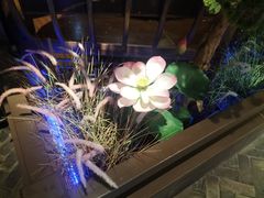 -重庆德庄火锅(映月湖环宇城店)