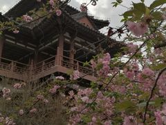 -西安青龙寺遗址景区