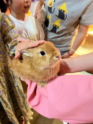 -Zoolung Zoolung动物主题公园(海信广场店)