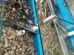 -港畔赶海蒸汽海鲜烧烤自助(仙螺岛店)
