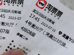 -汉阳天河电影城(王家湾店)