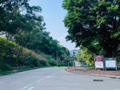 -大埔公路-马料水段香港中文大学(公交站)