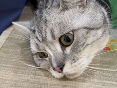 -荔康动物医院(康王北路店)