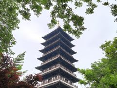 -宜兴龙背山森林公园