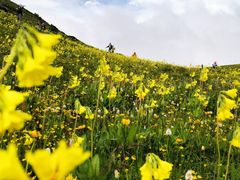 -太子岭滑雪场
