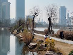 -西北湖绿化广场