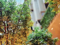 -博林天瑞喜来登酒店·西丽尚膳