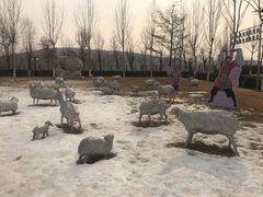 -九十九顶毡房(阜石路店)