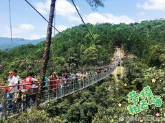 -九龙江国家森林公园