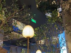 -桂满陇·海市蜃楼·黑金(国金店)