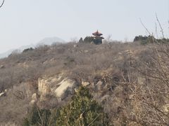 -白水寺森林公园