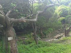 -草庵摩尼教遗址公园
