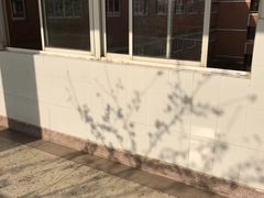 -南京外国语学校(仙林分校西区)