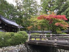-西芳寺(苔寺)