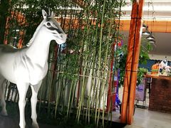 -向外鱼乐·土菜·虹鳟鱼