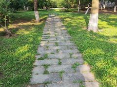 -辽宁大学(崇山校区)