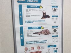 -谐和益家动物医院·免疫绝育·血液透析·宠保定点医院(高新伊藤分院)