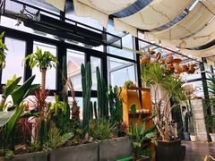 -北马山庄植趣咖啡