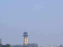 -溱湖国家湿地公园