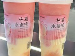 -树夏(成都招商大魔方店)