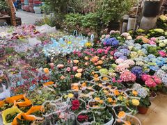 -双季花艺园艺市场(浦东店)