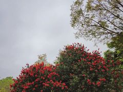 -金海湾滨江公园