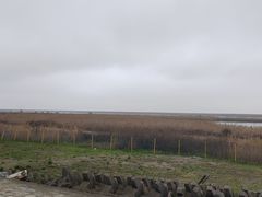 -金山嘴渔村