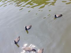 -前关湿地公园