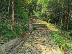 -北仑森林植物园