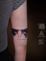 -雕哥的纹身店A3 TATTOO&纹身培训