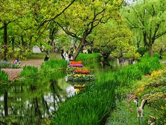 -上海共青森林公园