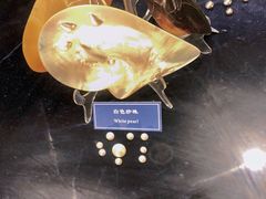 -中国地质大学逸夫博物馆