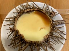 海胆蒸蛋-海胆小馆(东北水饺·春柳店)