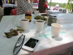 IMG_0176-顺鑫绿色度假村