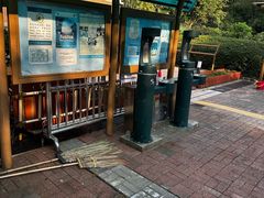 -九龙公园