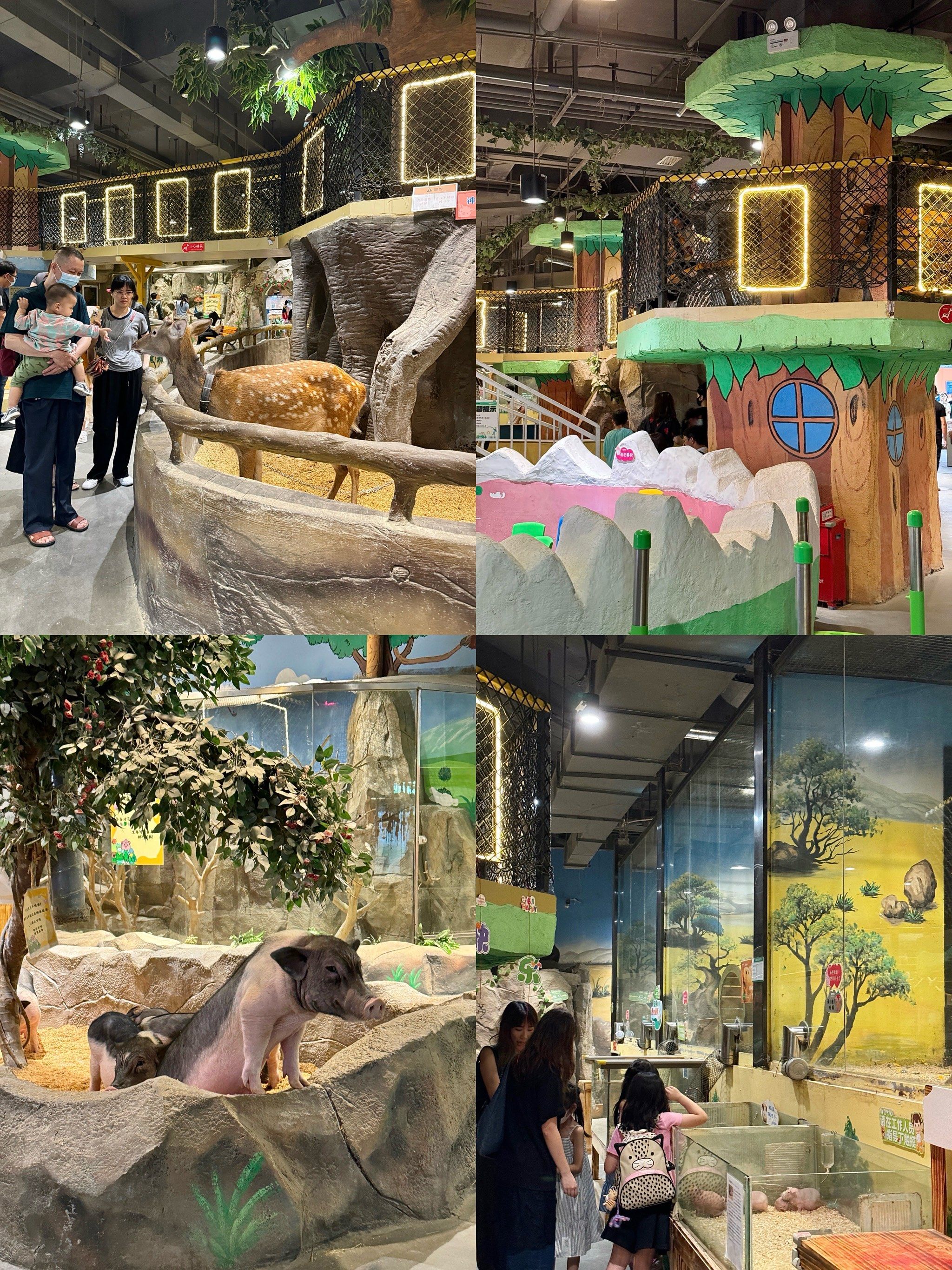 夏天98就去室内的动物园60好玩又清凉