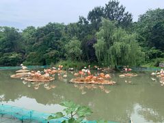 -宁波野生动物园