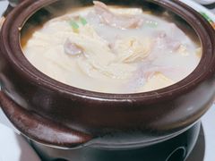 腐竹猪肚煲-大鸽饭(体育西路店)