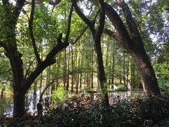 -金山植物公园