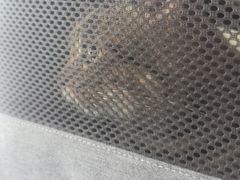 -艾贝尔宠物医院 ·中兽医·宠保定点(北门桥店)