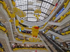 -柳市现代广场
