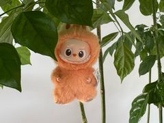 -天猫养车贴膜轻改·蓝电(优匹康桥东路店)