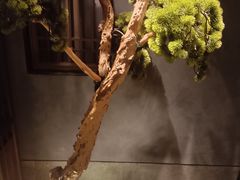 -百富源·海鲜辽菜(浑河堡店)