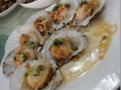 扇贝-海岛渔村大酒店(云霄路店)