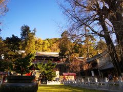 -潭柘寺景区