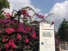 -广东外语外贸大学(白云山校区)