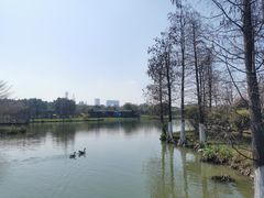 -海珠湖公园